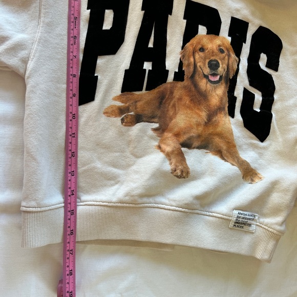 Zara kids Golden Retriever Paris Hoodie size 9 - Picture 6 of 13